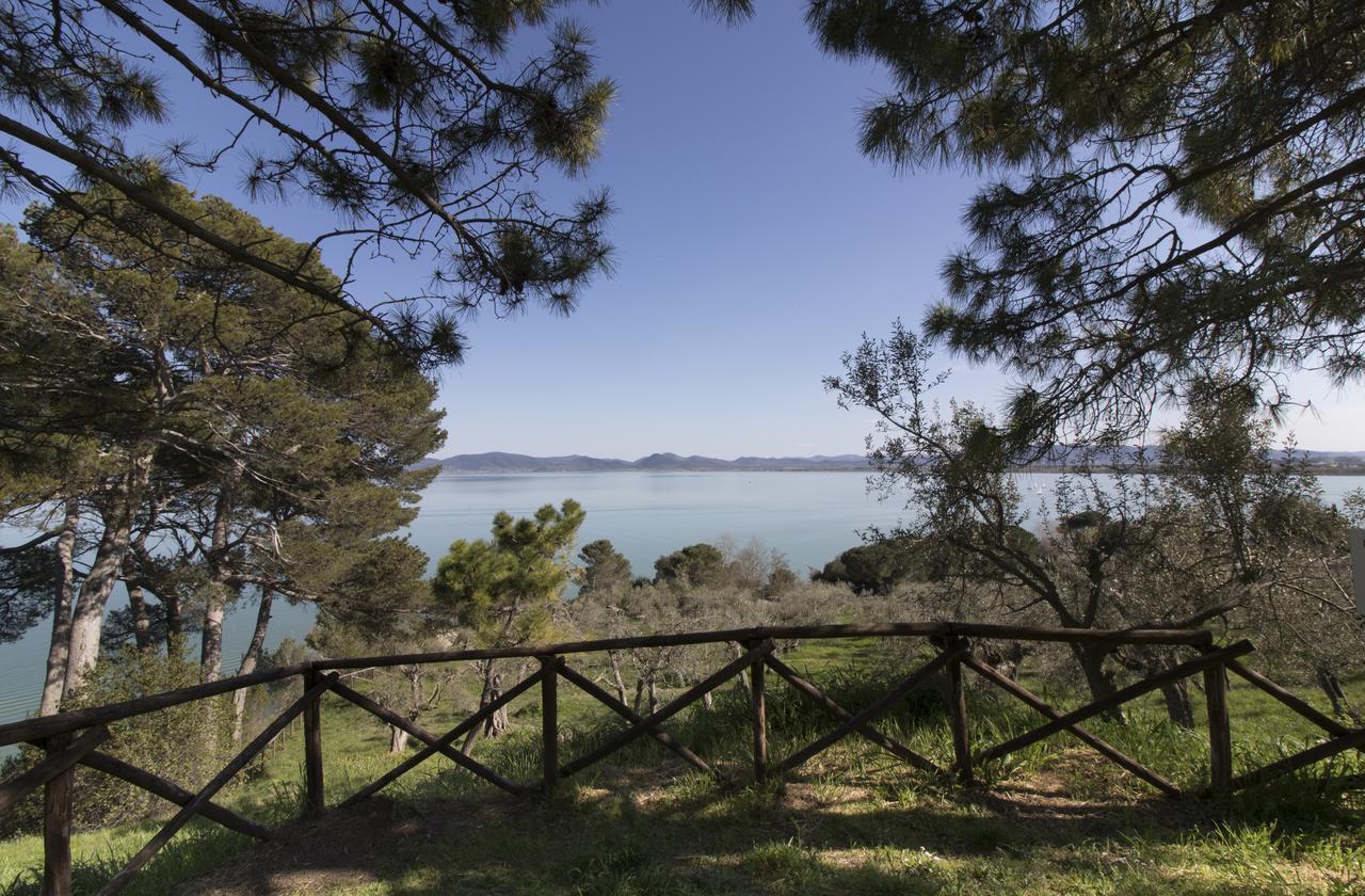 Baldovino Di Monte Bed & Breakfast Monte San Savino Dış mekan fotoğraf