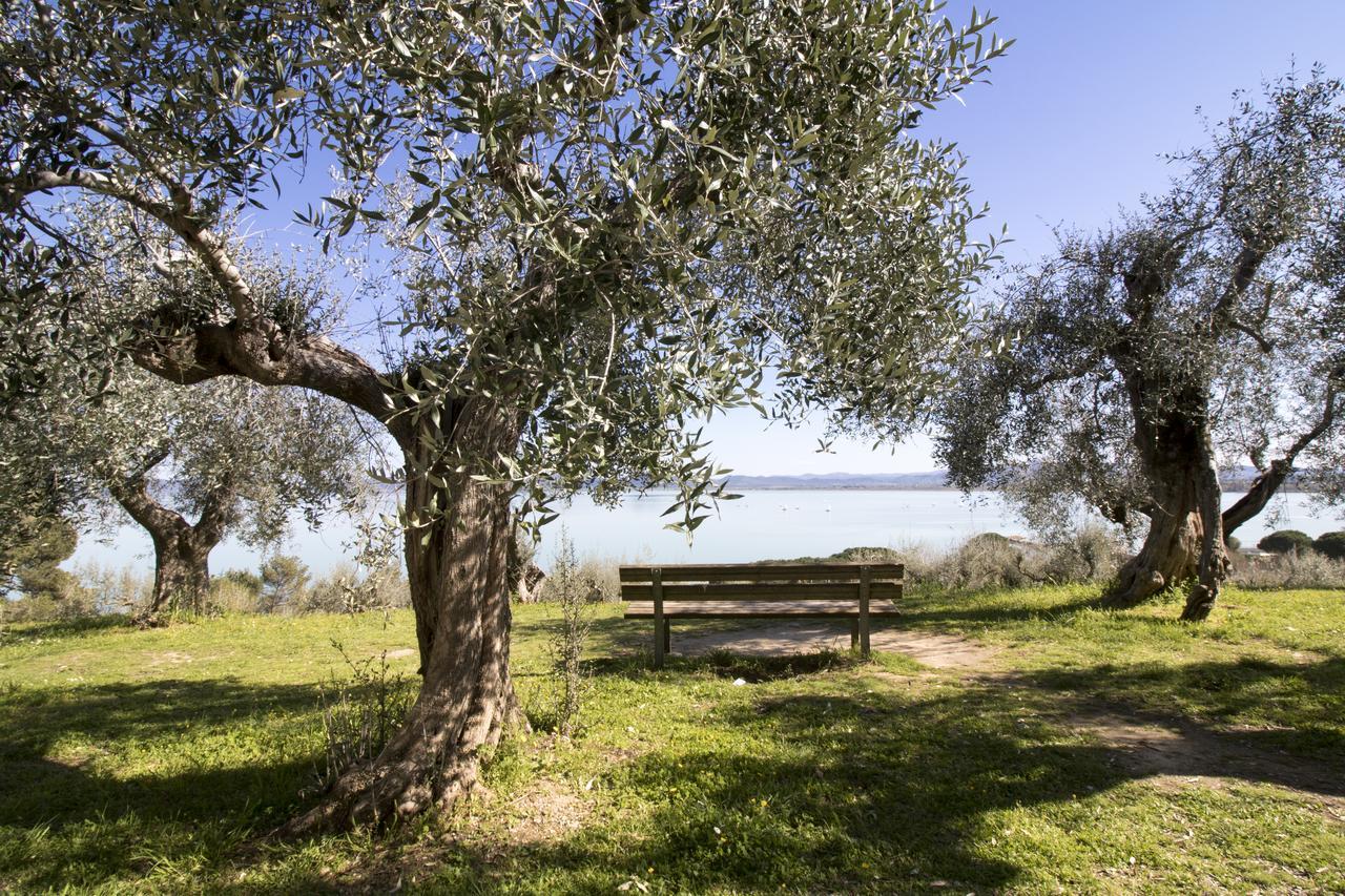 Baldovino Di Monte Bed & Breakfast Monte San Savino Dış mekan fotoğraf
